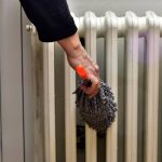 Gallery Bam How 1773247834 Jpg